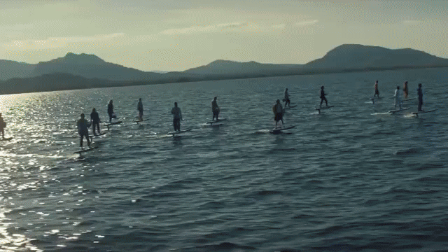 Spring Reel 2025