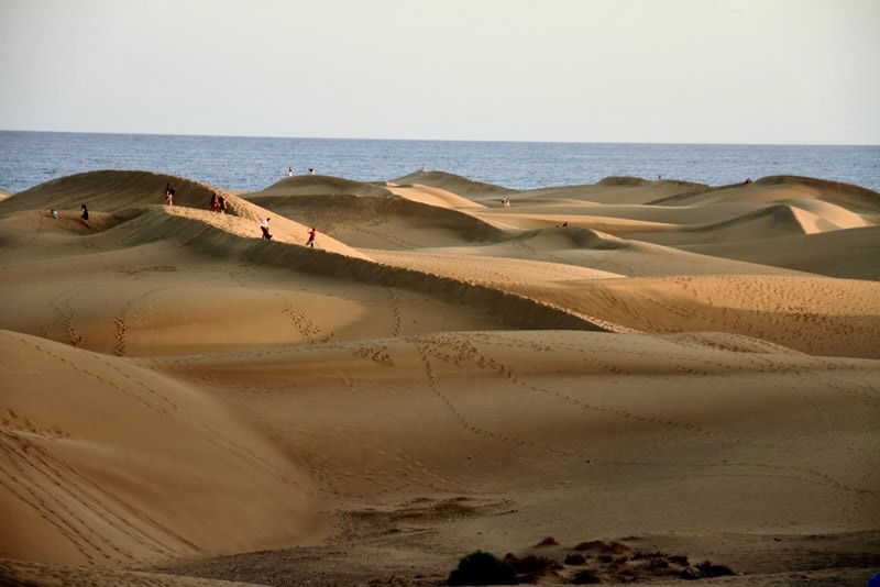 Edu Rodrigalvarez discusses the strategic allure of Spain and Portugal in The Location Guide