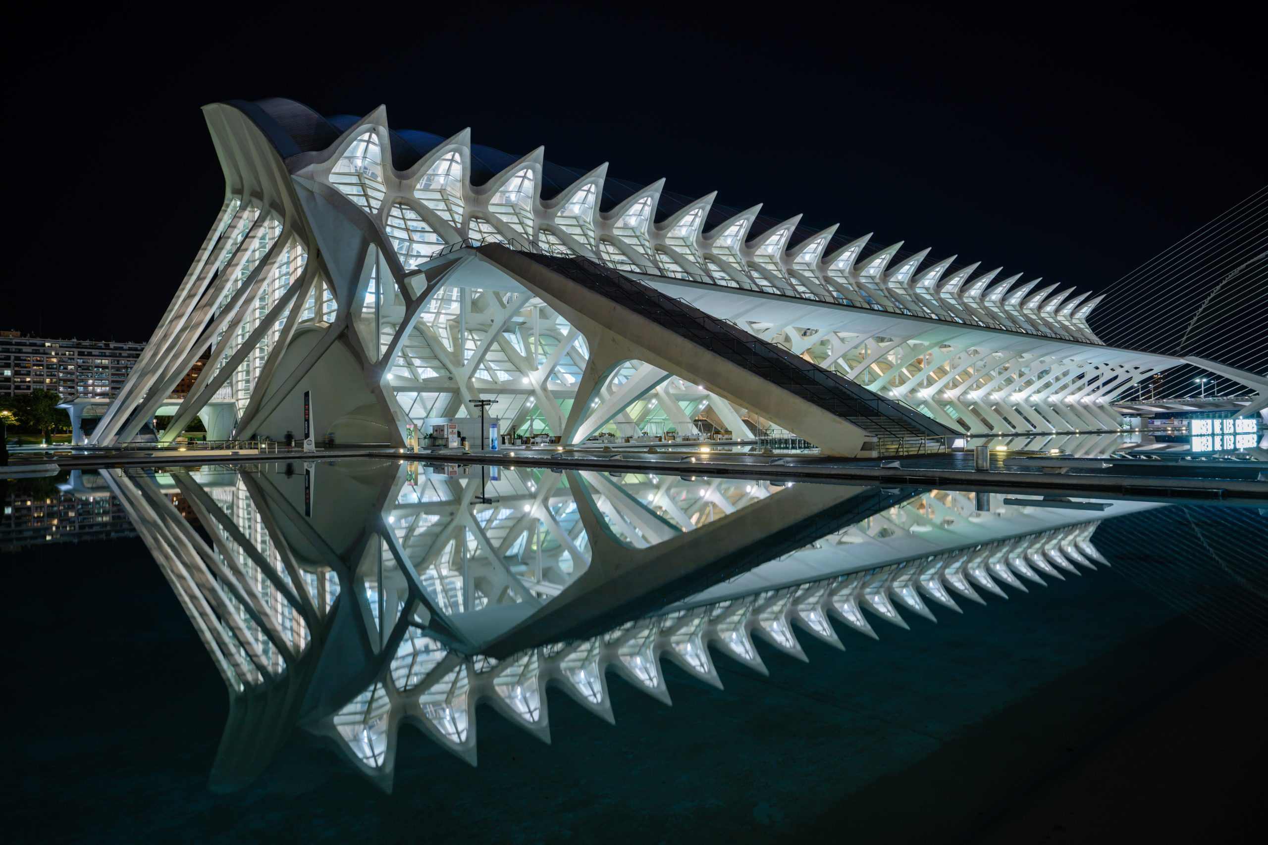 Ciudad-de-las-artes-cedidas (49)